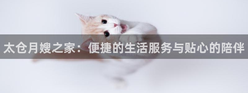 杏悦平台代理怎么样