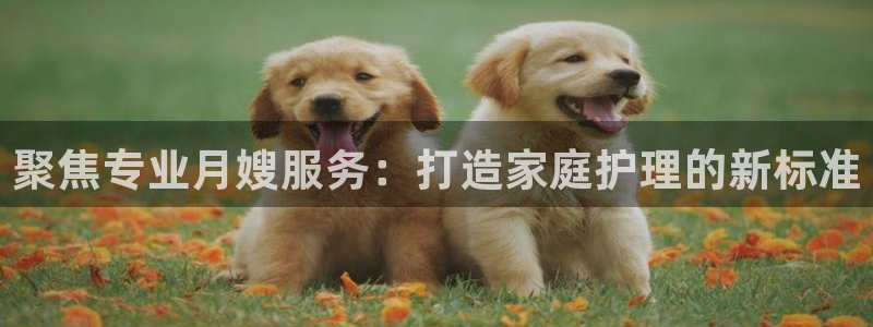 杏悦平台可靠吗可信吗知乎