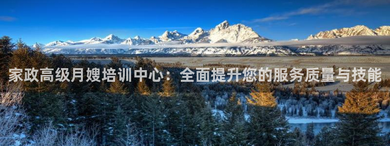 杏悦平台代理注册流程