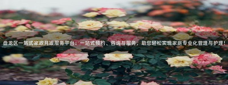 杏悦平台代理注册要钱吗