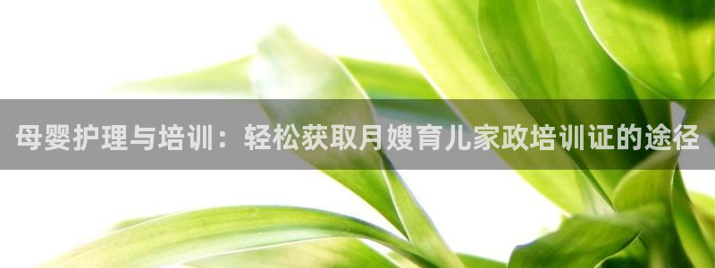 杏悦平台代理怎么样啊