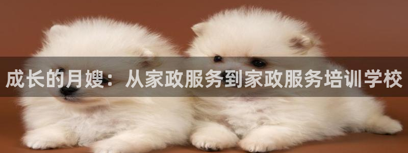 杏悦平台注册网址