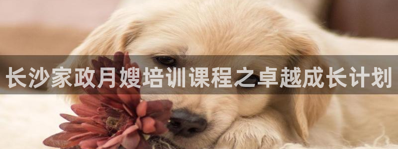 杏悦平台
