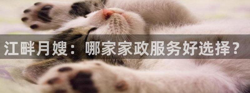 杏悦平台代理怎么样赚钱