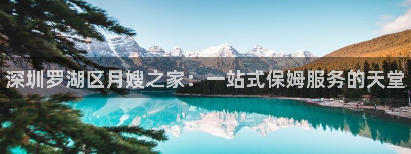 杏悦官方平台官网入口