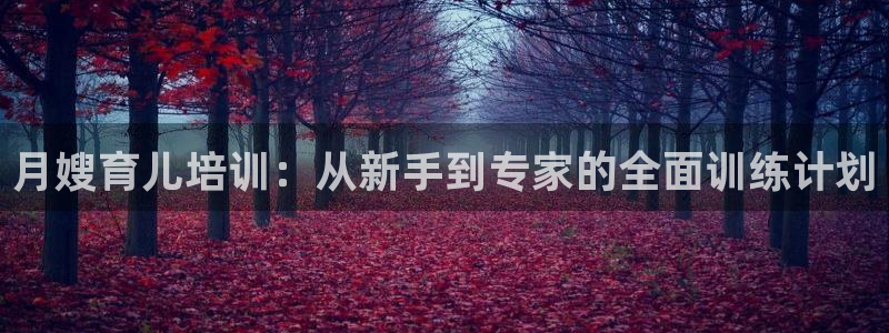 杏悦官网注册信息查询