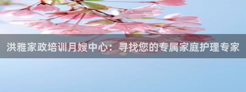杏悦1招商地址