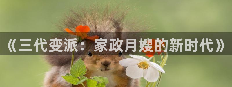 杏悦官网注册信息是什么