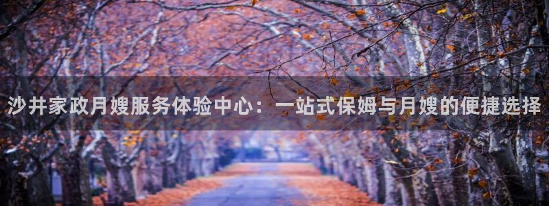 杏悦平台代理注册