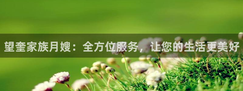 杏悦官网注册信息在哪里查看