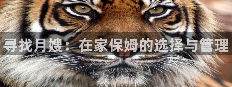 杏悦官网注册信息在哪里找