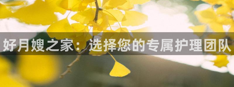 杏悦平台注册地址在哪里