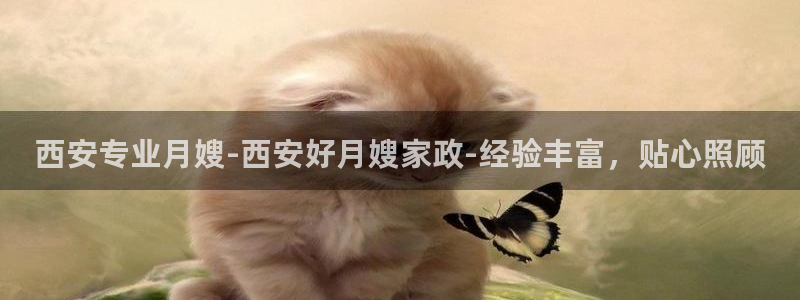 杏悦官网登录入口网址是多少