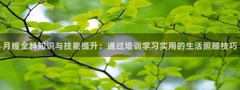 杏悦平台可靠吗可信吗安全吗