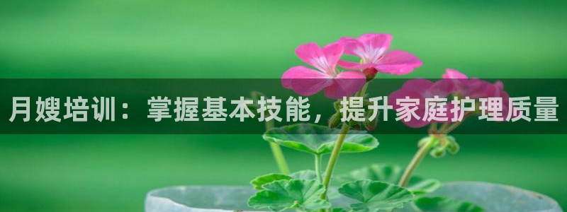 杏悦平台注册网址