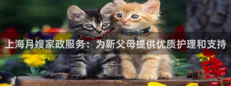 杏悦平台登录网址是多少