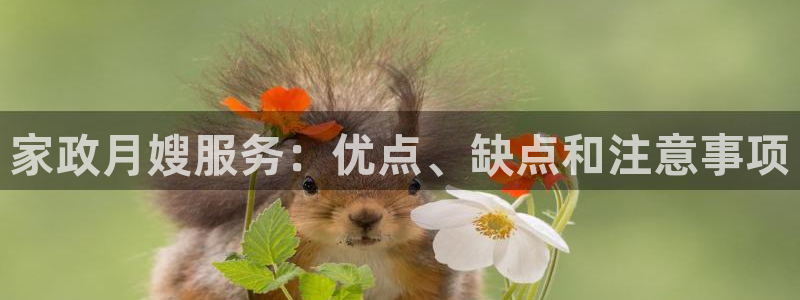 杏悦平台注册地址在哪里