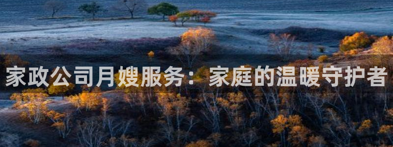 杏悦平台代理注册