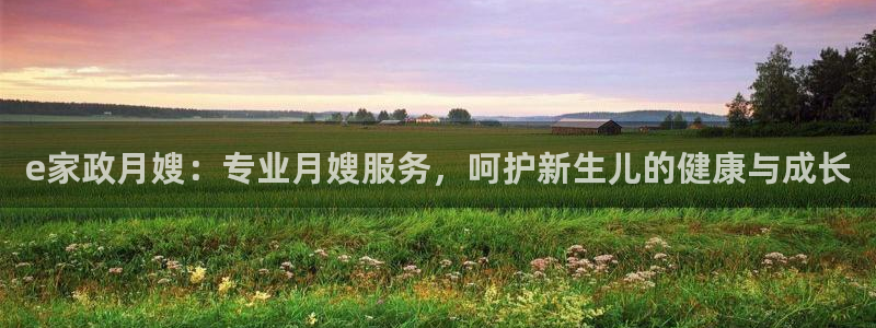 杏悦官网注册信息是什么样的