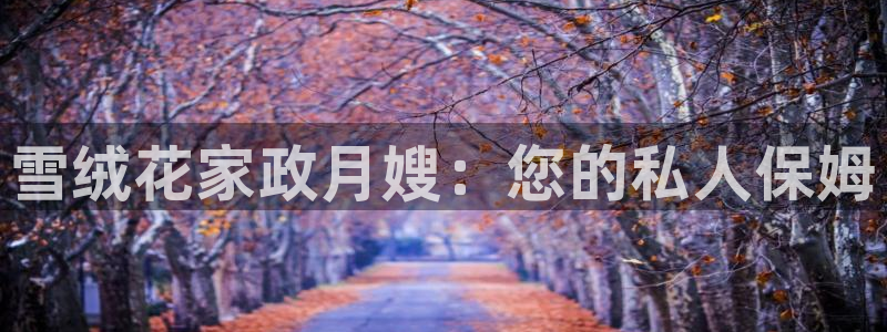 杏悦平台注册流程