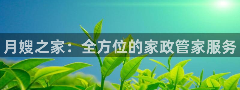 杏悦官网注册信息查询