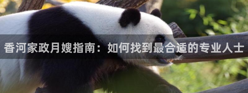 杏悦娱乐注册平台有哪些