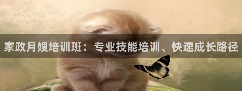 杏悦平台代理怎么样赚钱