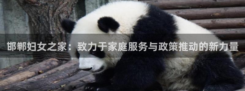 杏悦官方平台官网