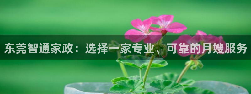 杏悦平台登录入口官网