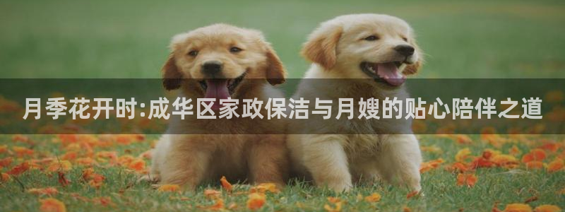 杏悦登录网址是什么
