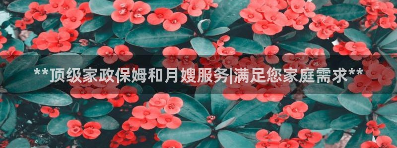 杏悦平台注册网址