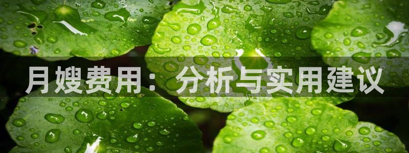 杏悦平台代理注册要钱吗