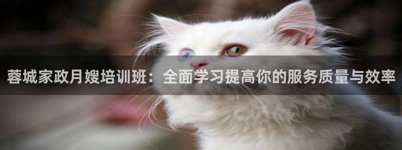 杏悦平台注册地址在哪里