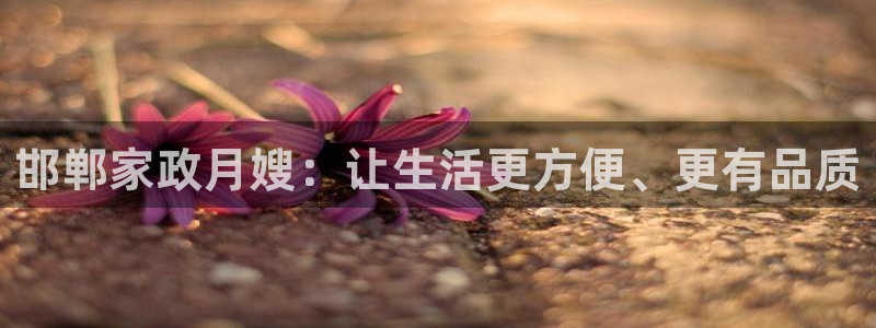 杏悦官方平台官网入口