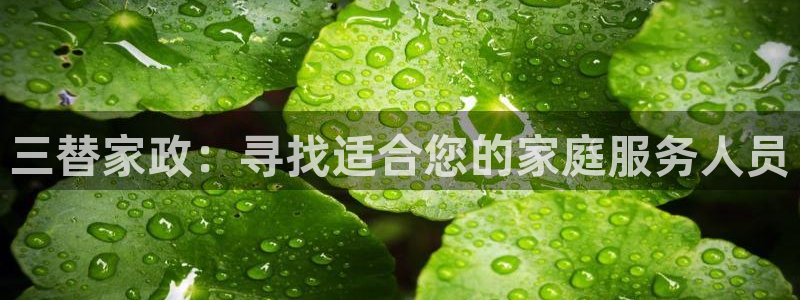 杏悦登录网址