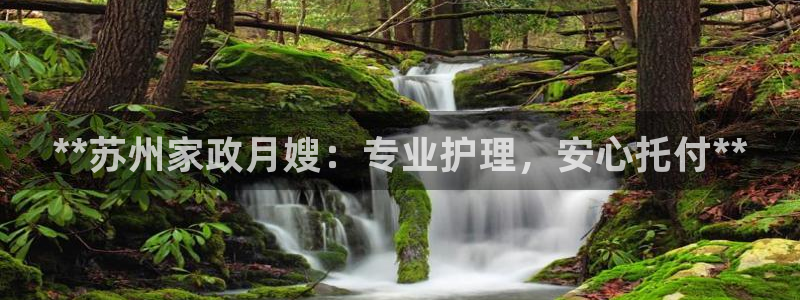 杏悦是什么平台