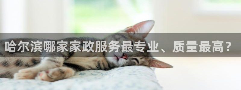 杏悦平台官网注册