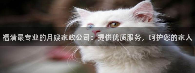 杏悦平台代理多少钱