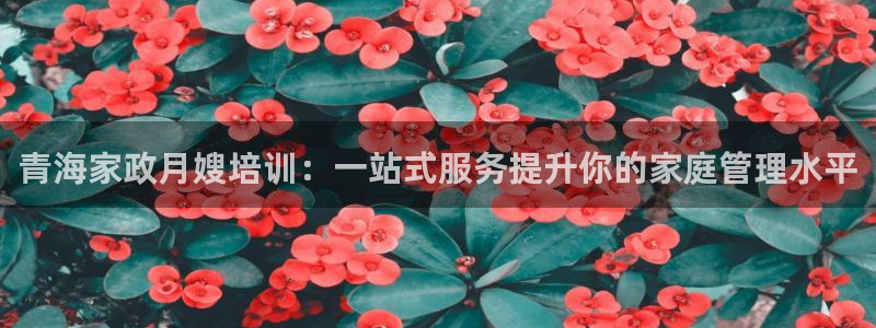 杏悦平台代理怎么样啊