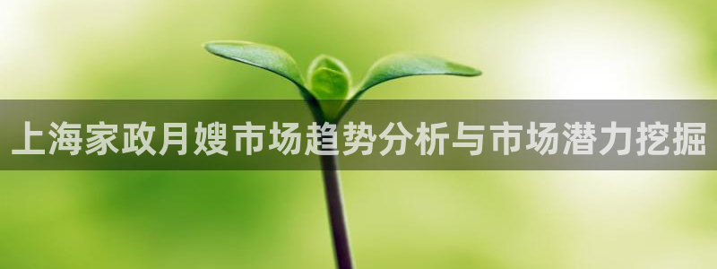 杏悦平台招商电话