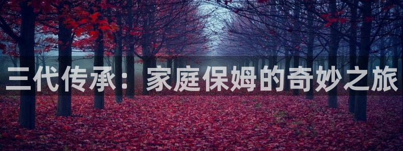 杏悦登录地址